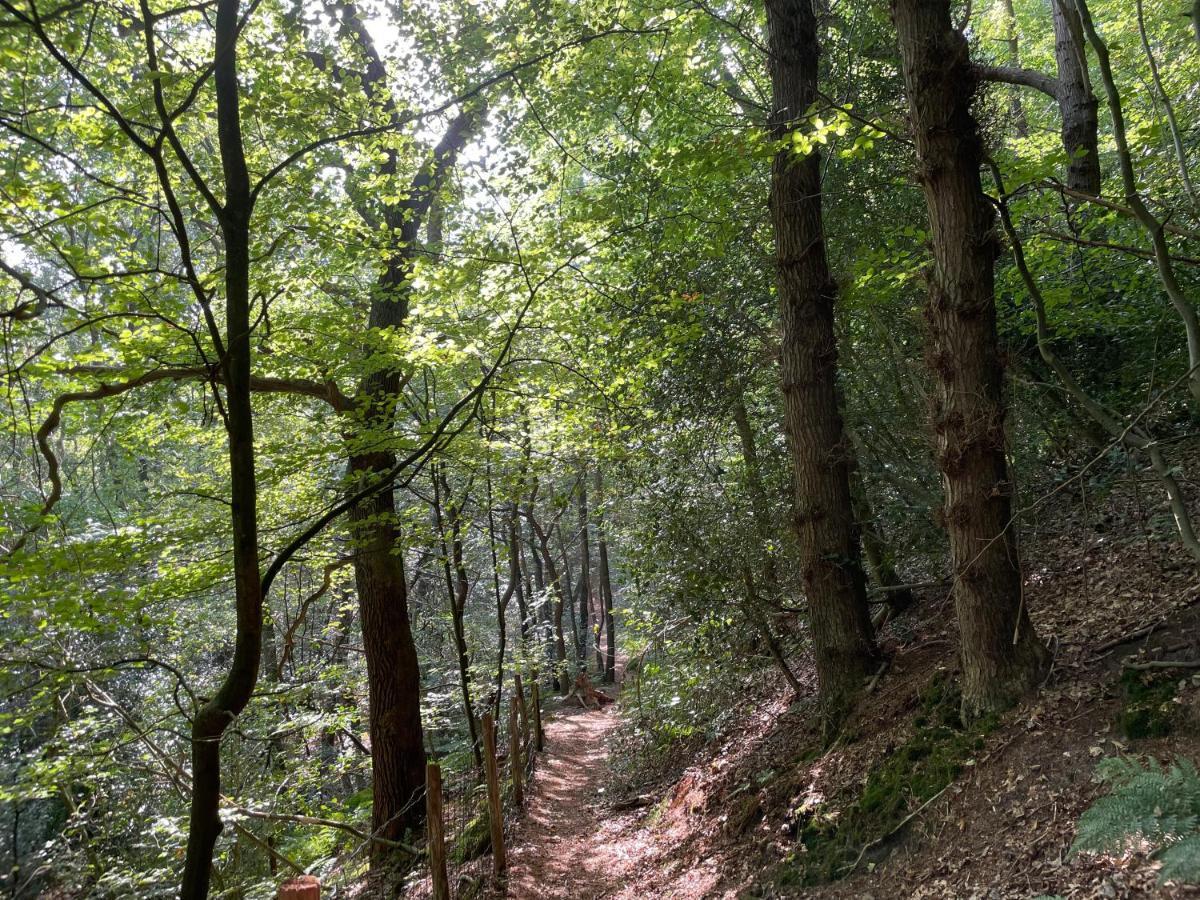 The Forester Schoorl Exteriér fotografie